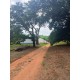 FAZENDA A VENDA MG ARCEBURGO REGIAO RIBEIRAO PRETO PECUARIA