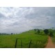 FAZENDA A VENDA MG ARCEBURGO REGIAO RIBEIRAO PRETO PECUARIA