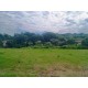 FAZENDA A VENDA MG ARCEBURGO REGIAO RIBEIRAO PRETO PECUARIA