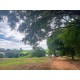 FAZENDA A VENDA MG ARCEBURGO REGIAO RIBEIRAO PRETO PECUARIA
