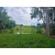 FAZENDA A VENDA MG ARCEBURGO REGIAO RIBEIRAO PRETO PECUARIA