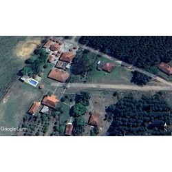 Fazenda a venda sp cana cafe eucalipto pecuaria Regiao Ribeirao Preto 30 ALQ