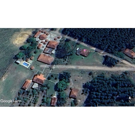 Fazenda a venda sp cana cafe eucalipto pecuaria Regiao Ribeirao Preto 30 ALQ