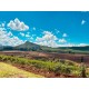 FAZENDA A VENDA SP REGIAO RIBEIRÃO PRETO CAJURU 328 ALQUEIRES