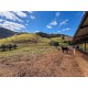 FAZENDA HARAS A VENDA MG SUL DE MINAS REGIAO PARAISOPOLIS CAMPOS DO JORDÃO CINEMATOGRAFICA