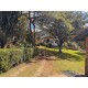 FAZENDA HARAS A VENDA MG SUL DE MINAS REGIAO PARAISOPOLIS CAMPOS DO JORDÃO CINEMATOGRAFICA