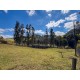 FAZENDA HARAS A VENDA MG SUL DE MINAS REGIAO PARAISOPOLIS CAMPOS DO JORDÃO CINEMATOGRAFICA