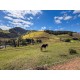 FAZENDA HARAS A VENDA MG SUL DE MINAS REGIAO PARAISOPOLIS CAMPOS DO JORDÃO CINEMATOGRAFICA