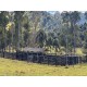 FAZENDA HARAS A VENDA MG SUL DE MINAS REGIAO PARAISOPOLIS CAMPOS DO JORDÃO CINEMATOGRAFICA