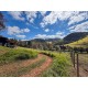 FAZENDA HARAS A VENDA MG SUL DE MINAS REGIAO PARAISOPOLIS CAMPOS DO JORDÃO CINEMATOGRAFICA