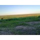 FAZENDA A VENDA MS REGIÃO SONORA DUPLA APTIDÃO FORMADA