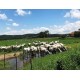 Fazenda a venda sp Vale do Paraiba lavoura pecuaria 1.000 ha