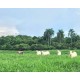 Fazenda a venda sp Vale do Paraiba lavoura pecuaria 1.000 ha