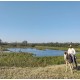 Fazenda a venda sp Vale do Paraiba lavoura pecuaria 1.000 ha