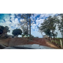 FAZENDA A VENDA SC REGIAO SÃO MIGUEL DO OESTE LAVOURA PECUARIA