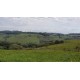 FAZENDA A VENDA SC REGIAO SÃO MIGUEL DO OESTE LAVOURA PECUARIA