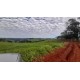 FAZENDA A VENDA SC REGIAO SÃO MIGUEL DO OESTE LAVOURA PECUARIA