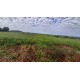 FAZENDA A VENDA SC REGIAO SÃO MIGUEL DO OESTE LAVOURA PECUARIA