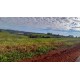 FAZENDA A VENDA SC REGIAO SÃO MIGUEL DO OESTE LAVOURA PECUARIA
