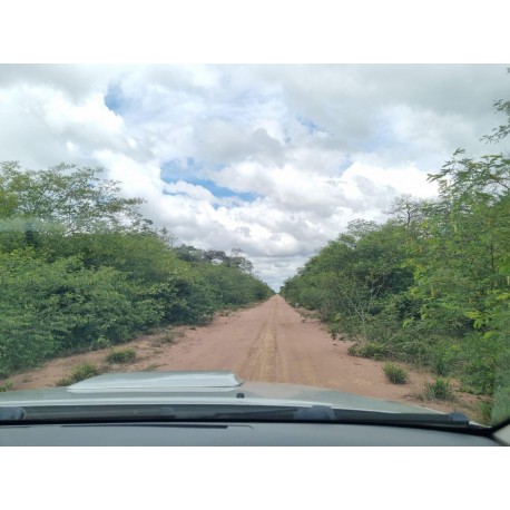 FAZENDA A VENDA BAHIA BA REGIAO CASA NOVA LAVOURA PECUARIA MINERIO