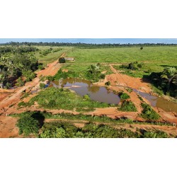 FAZENDA A VENDA MT REGIAO CASTANHAL PECUARIA 88.000 HA