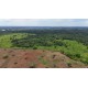 FAZENDA A VENDA MT REGIAO CASTANHAL PECUARIA 88.000 HA