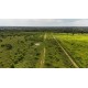FAZENDA A VENDA MT REGIAO CASTANHAL PECUARIA 88.000 HA