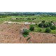FAZENDA A VENDA MT REGIAO CASTANHAL PECUARIA 88.000 HA