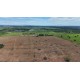 FAZENDA A VENDA MT REGIAO CASTANHAL PECUARIA 88.000 HA