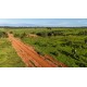 FAZENDA A VENDA MT REGIAO CASTANHAL PECUARIA 88.000 HA