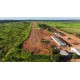 FAZENDA A VENDA MT REGIAO CASTANHAL PECUARIA 88.000 HA
