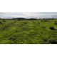 FAZENDA A VENDA MT REGIAO CASTANHAL PECUARIA 88.000 HA