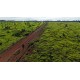 FAZENDA A VENDA MT REGIAO CASTANHAL PECUARIA 88.000 HA