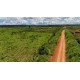 FAZENDA A VENDA MT REGIAO CASTANHAL PECUARIA 88.000 HA