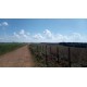 FAZENDA A VENDA SC REGIAO CAMPO ERÊ LAVOURA 6.917 HA