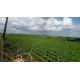 FAZENDA A VENDA SC REGIAO CAMPO ERÊ LAVOURA 6.917 HA