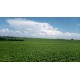 FAZENDA A VENDA SC REGIAO CAMPO ERÊ LAVOURA 6.917 HA