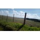 FAZENDA A VENDA SC REGIAO CAMPO ERÊ LAVOURA 6.917 HA
