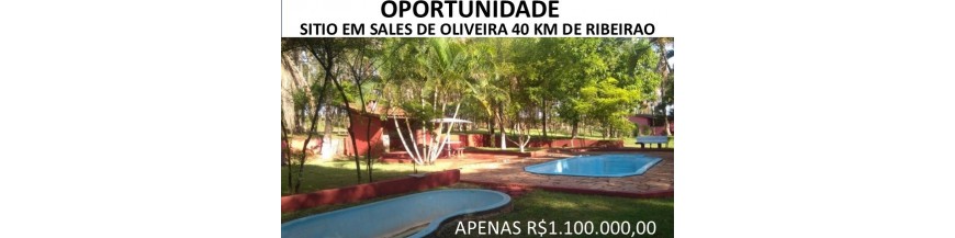 Sitios e Fazendas a venda Região Ribeirao Preto